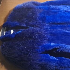 Tibetan lamb mongolian dyed rabbit fur royal blue ,  Sz. medium